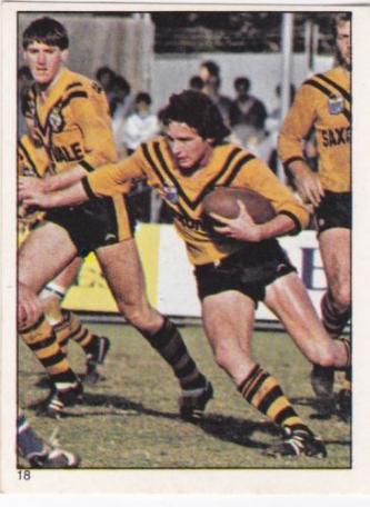 Scanlens 1984 Rugby League sticker #18 JAMIE DAVID...