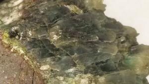 475.5ct/95g Green Stilbite Mineral Display Specimen Gemstone