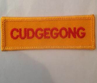 NSW Rural fire Services Cudgegong Embroidered Patc...